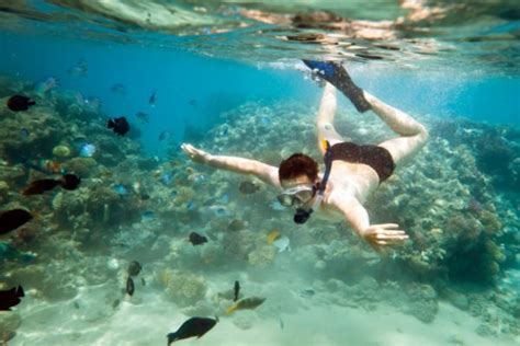 Snorkeling in Costa Rica. spots, tips and prices for 2023