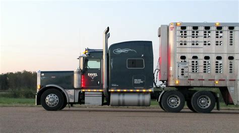 Hours-of-Service Truck Driving Law Could Damage Livestock Industry | Transport Topics