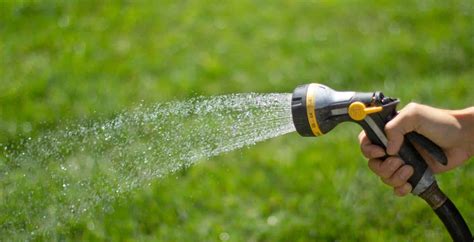 Lawn Watering: Tips, Best Times, Requirements | Eden Lawn Care and Snow ...