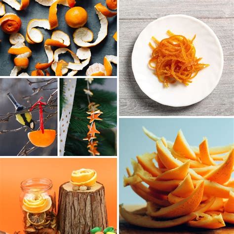 39 Exciting Things To Do With Orange Peels - DIY & Crafts