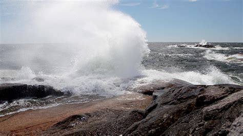 Wild Baltic Sea | ZDF Studios