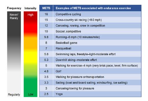 Types Of Light Exercise | atelier-yuwa.ciao.jp