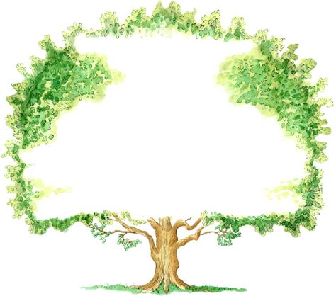 Tree Backgrounds Group (58+)