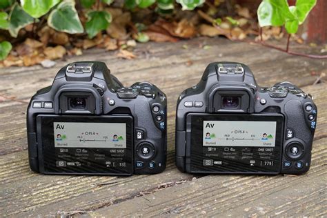 Canon 250D vs Canon 200D: which should you buy? | Trusted Reviews