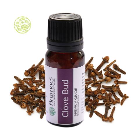 Looking for Oil of Cloves - Where to Buy Clove Oil ? for toothache