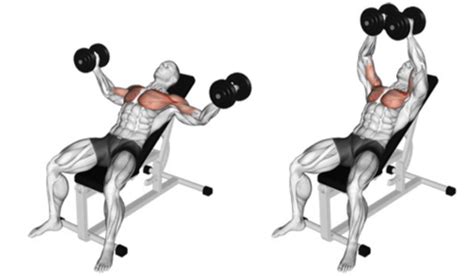 The Incline Dumbbell Fly 101 | How To Exercise Your Upper Chest!