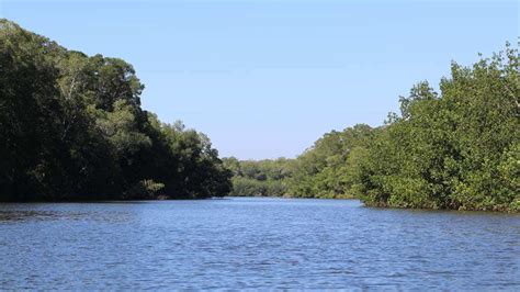 50 kilómetros de manglar de Usulután serán restaurados | Noticias de El Salvador - elsalvador.com