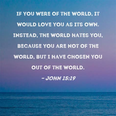 John 15:19 If you were of the world, it would love you as its own. Instead, the world hates you ...