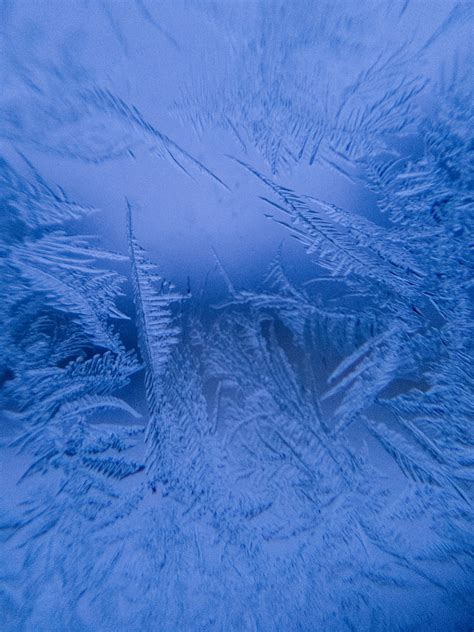 Winter Frost Art Blue