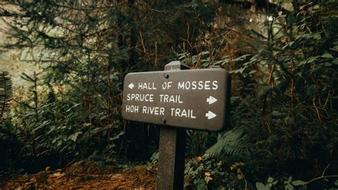 Hoh Rainforest: Hall of Mosses & Spruce Nature Trail