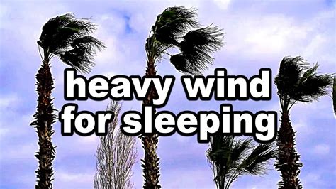 3 Hours of Relaxing Wind - Wind Sounds for Sleeping or Relaxation ...