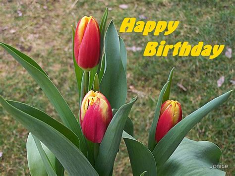 "Happy Birthday Tulips Card" by Jonice | Redbubble