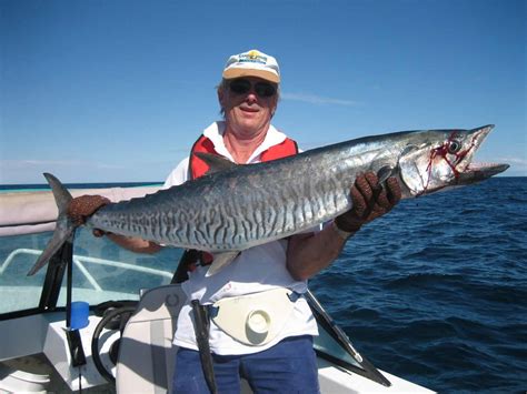 Spanish Mackerel in Western Australia | How to catch, where, vids, pics...