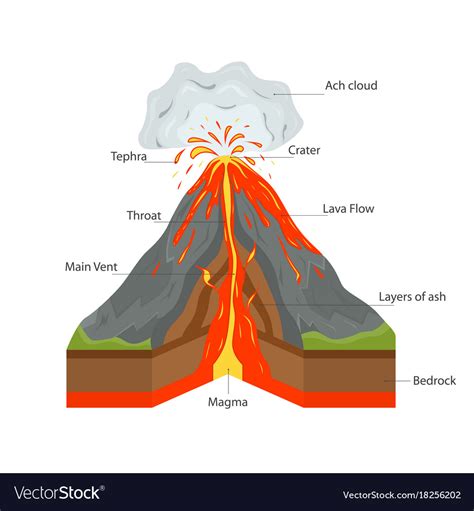 Volcano cross section view Royalty Free Vector Image