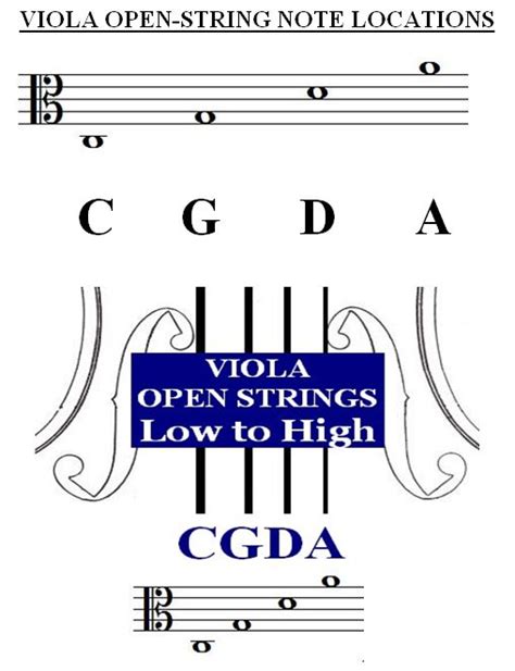 All Open Strings Violin Viola Cello Bass :: StringQuest