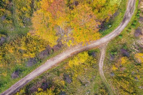 Premium Photo | Road in the autumn forest