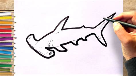 Requin Dessin