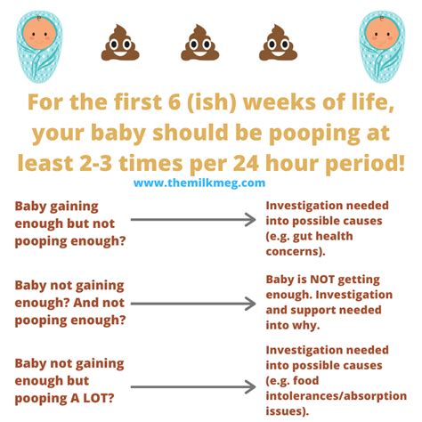 A Guide to breastfed baby's poop! - The Milk Meg