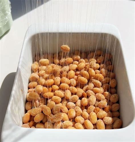 How to Make Natto (Natto recipe with & without a starter)