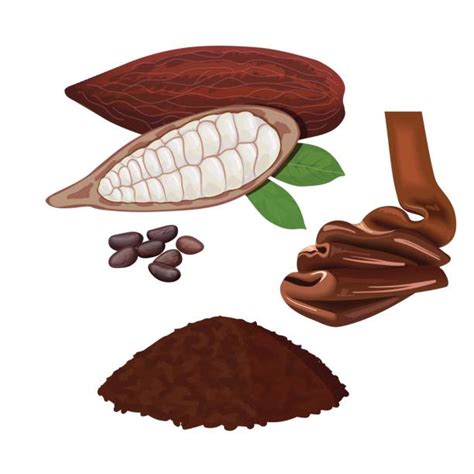 Top 60 Cocoa Powder Clip Art, Vector Graphics and Illustrations - iStock