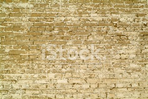 Background Texture Grungy Sand Lime Brick Wall Stock Photos - FreeImages.com