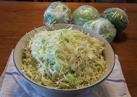 Canned Coleslaw — Patchwork Times by Judy Laquidara