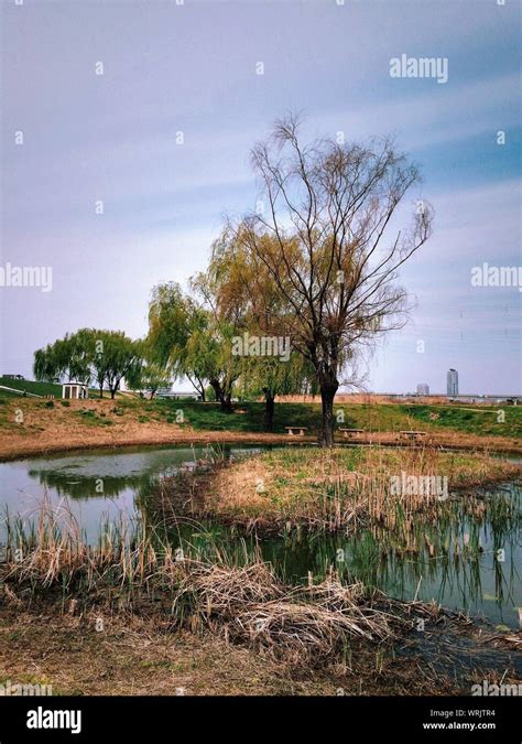 Marsh landscape hi-res stock photography and images - Alamy