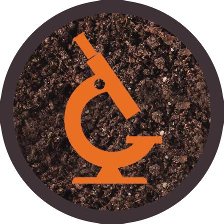 50 Per Soil Sample - Icon - Free Transparent PNG Download - PNGkey