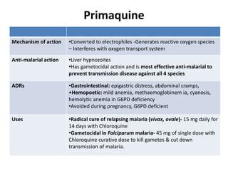 Primaquine Mechanism Of Action