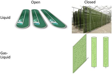 Photobioreactor Design