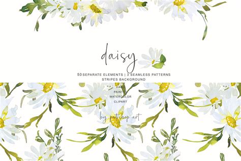 Watercolor Daisy Clip Art (225558) | Illustrations | Design Bundles