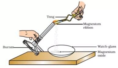 Burning of Magnesium Ribbon Activity | Burning of Magnesium Ribbon ...