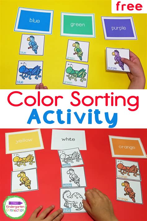 FREE Printable Color Sorting Activity - The Kindergarten Connection