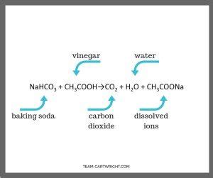 vinegar-and-baking-soda-reaction-2-1 | Hess Un-Academy