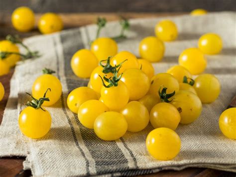 Yellow Tomato Growing Guide: Kinds Of Tomatoes That Are Yellow