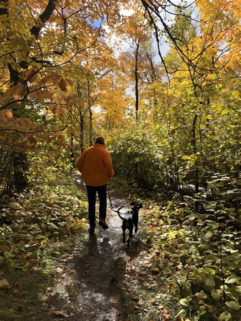 Fall Colors in Minnesota - four places to explore and how to find peak color