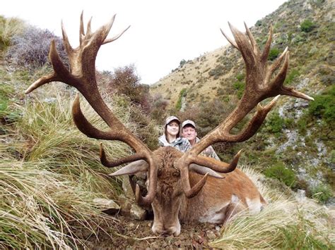 Red Stag Hunting In New Zealand - Big Game Hunting Adventures