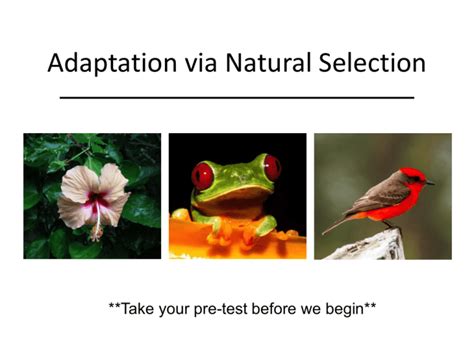 Adaptation via Natural Selection Lesson Plan