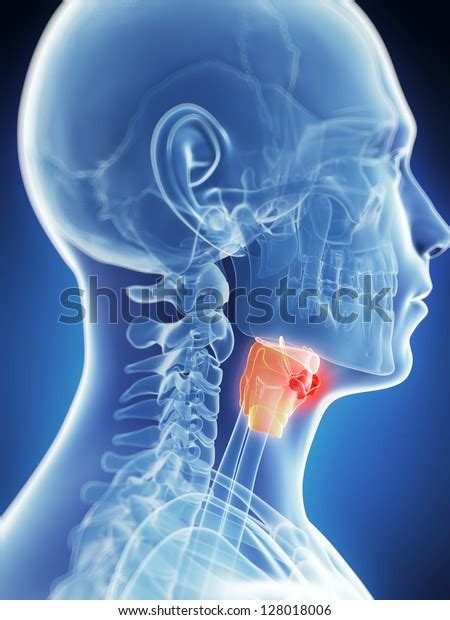 3d Rendered Illustration Male Larynx Cancer Stock Illustration 128018006