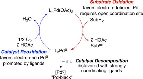 Structurally Diverse Diazafluorene-Ligated Palladium(II) Complexes and Their Implications for ...