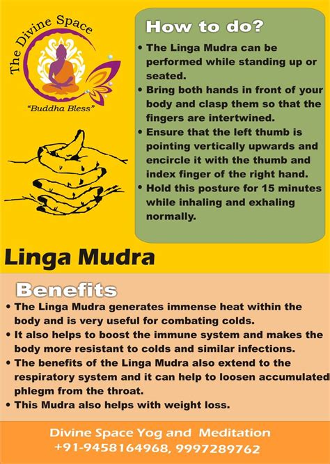 The Linga Mudra is so called because it increases body heat by focusing on the element of fire ...