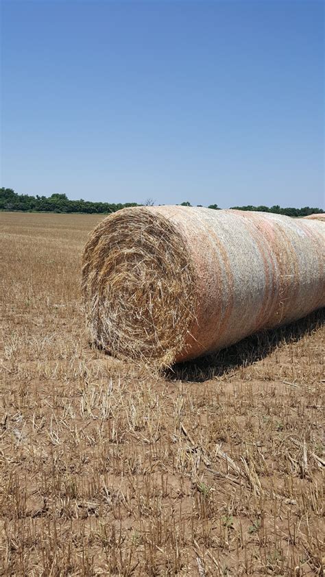 300 Bales - Oat Hay - Oklahoma