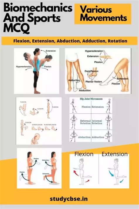 [Latest] Biomechanics And Sports | Cl.12 Updated Notes 2024