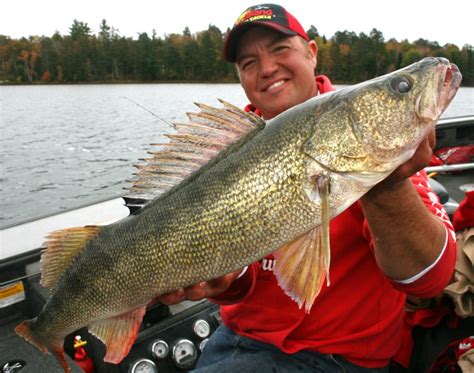 Fishing Line Choices for Walleye | Northland Fishing Tackle