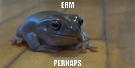 Frog Erm GIF - Frog Erm Perhaps - Discover & Share GIFs