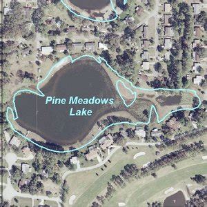 Pine Meadows Lake | Lake Details - Lake.WaterAtlas.org