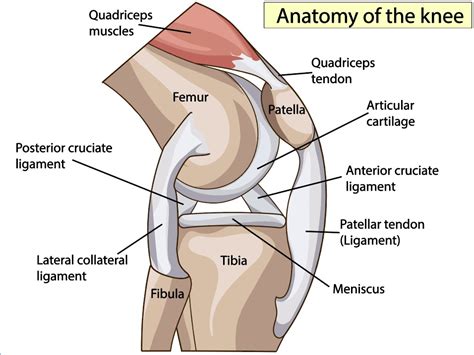 Knee Injury in Chain of Rocks, MO | Treatment for Knee Injuries near Chain of Rocks, MO