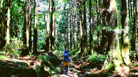 Best Yakushima Hiking Trails | Japan Wonder Travel Blog