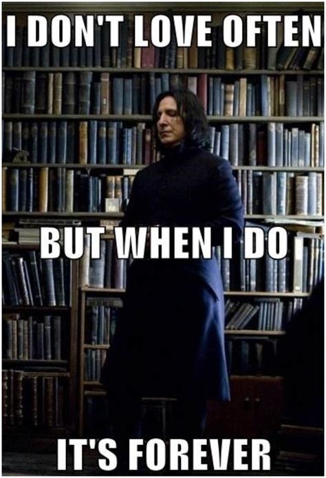 Harry Potter: 10 Memes That Prove Snape Was The Real Hero