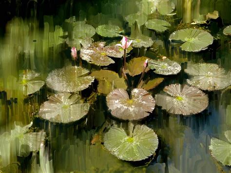 Lotus Pond 3 Painting by Usha Shantharam - Fine Art America